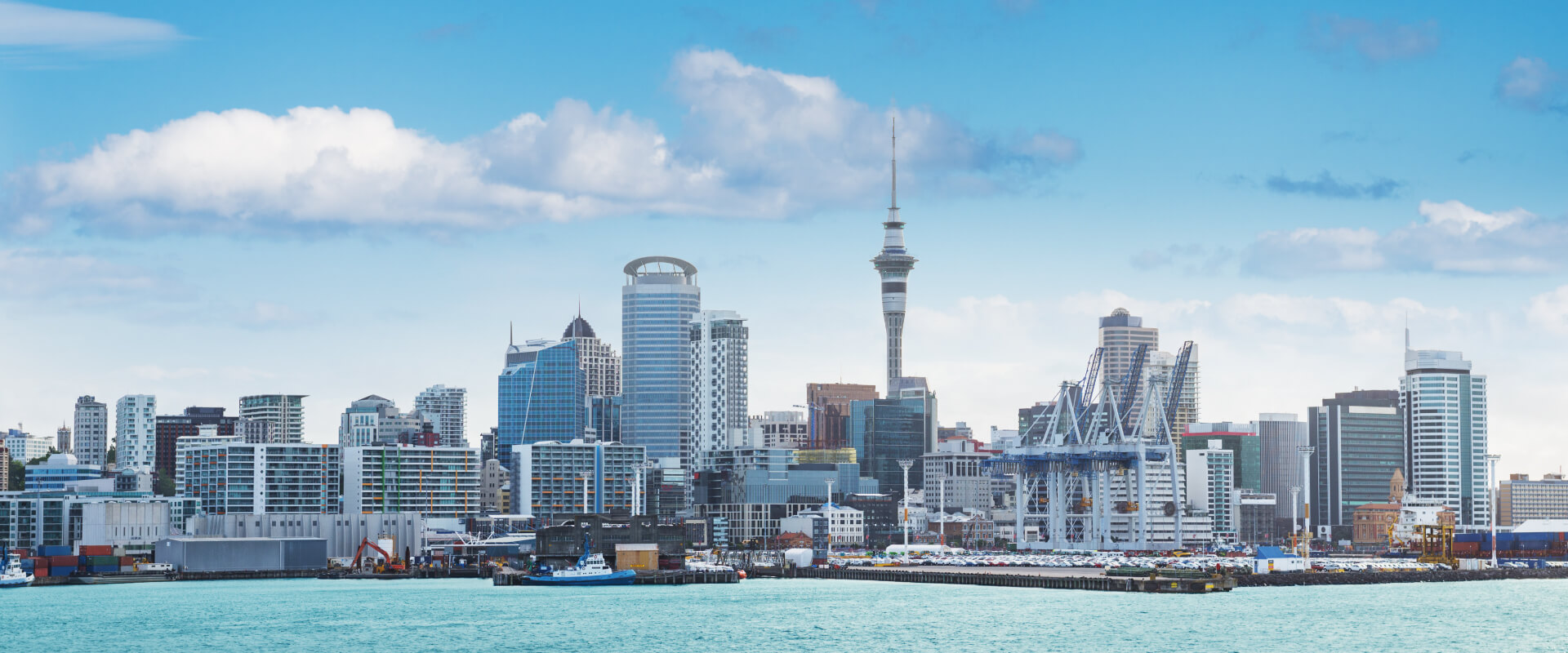New Zealand e-Invoicing